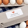 image:imageAvery Matte White Rectangle Labels Sure Feed Technology 2 x 4 250 Matte White Printable Labels1 000 Labels