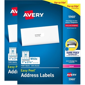image:imageAvery Easy Peel Printable Address Labels with Sure Feed 1 x 258 Customizable Stickers White 15000 Blank Mailing Labels Great for Mailing Shipping and More 2Pack of 5960