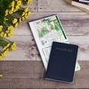 image:imageAvery File Envelopes 4 x 6 Passport Holder Holds up to 30 Sheets 10 Clear Vinyl Envelopes 74806