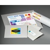 image:imageAvery Printable Shipping Labels 2 x 4 Matte White Sure Feed Technology Inkjet Printer Compatible 200 Blank Labels Great for Mailing Branding School Supplies and More 8253One Size